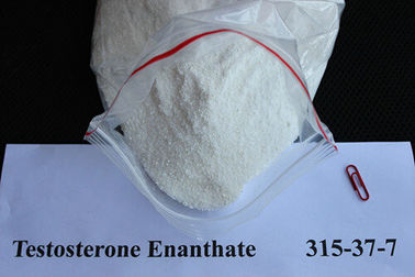 Κίνα Ασφαλής αναβολική τεστοστερόνης πρώτη ύλη CAS 315-37-7 στεροειδών Enanthate φαρμακευτική προμηθευτής