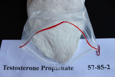 Κίνα Propionate 57-85-2 τεστοστερόνης φυσική νομική σκόνη στεροειδών οικοδόμησης μυών για τα άτομα προμηθευτής